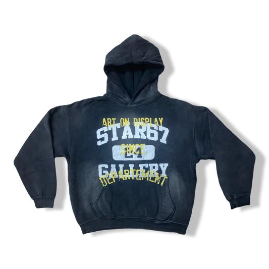 Art On Display Unisex Hoodie